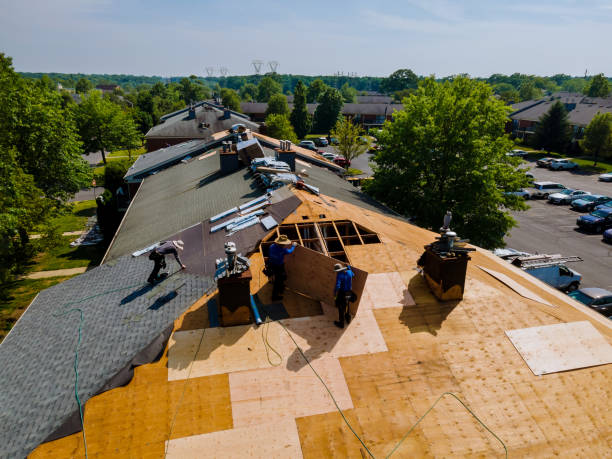 Best Metal Roofing Contractor  in Harriman, TN