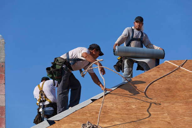 Best Roof Leak Repair  in Harriman, TN