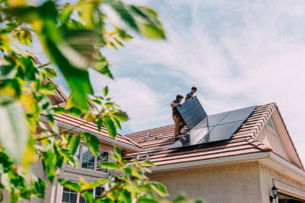 Best Roof Gutter Cleaning  in Harriman, TN