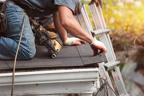 Roof Gutter Cleaning in Harriman, TN