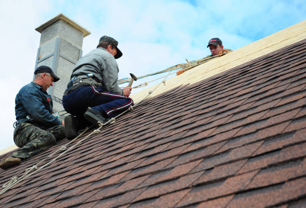 Best Roof Maintenance Services  in Harriman, TN