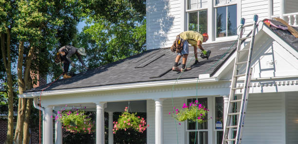 Best Roof Repair Services  in Harriman, TN